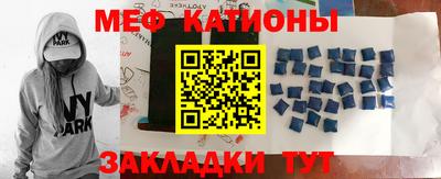 прущие грибы Будённовск