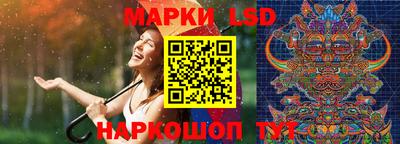 прущие грибы Будённовск