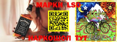 прущие грибы Будённовск