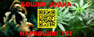прущие грибы Будённовск
