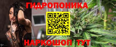 прущие грибы Будённовск