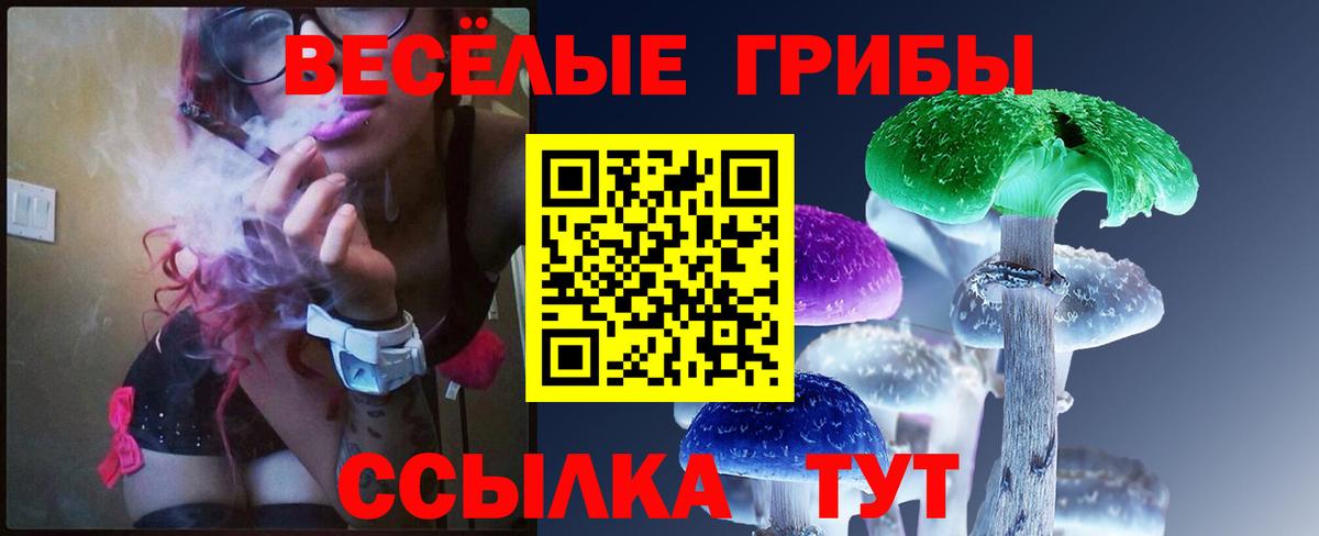 Псилоцибиновые грибы Psilocybine cubensis  Вход с VPN  Кохма 