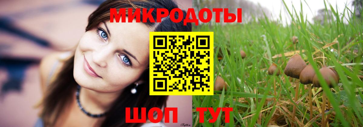 Галлюциногенные грибы Psilocybe Кохма