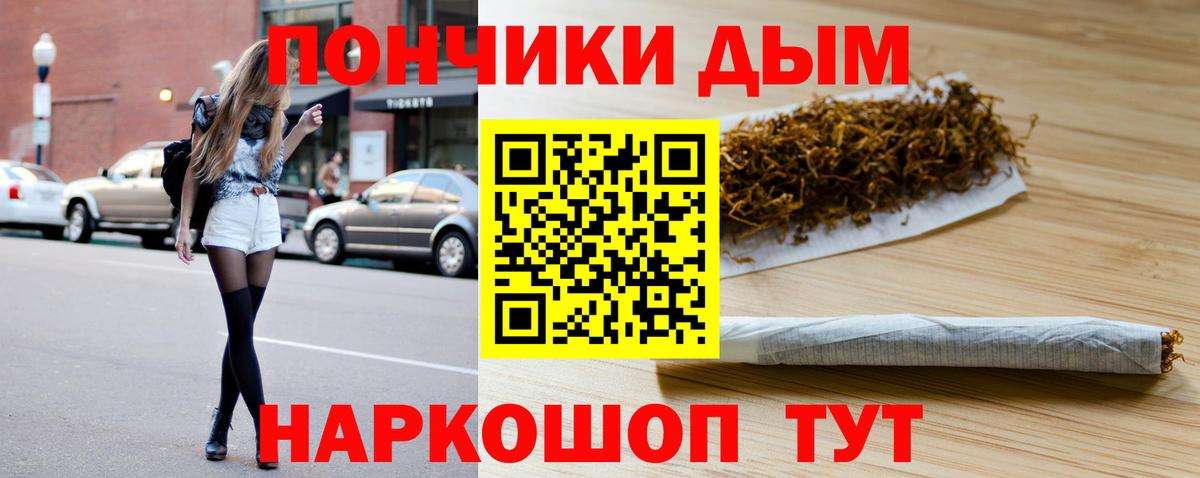 Бошки марихуана индика Кохма